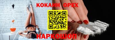шишки Кингисепп
