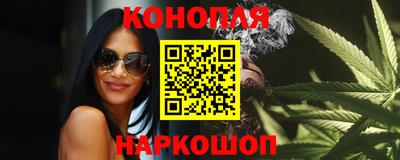 шишки Кингисепп