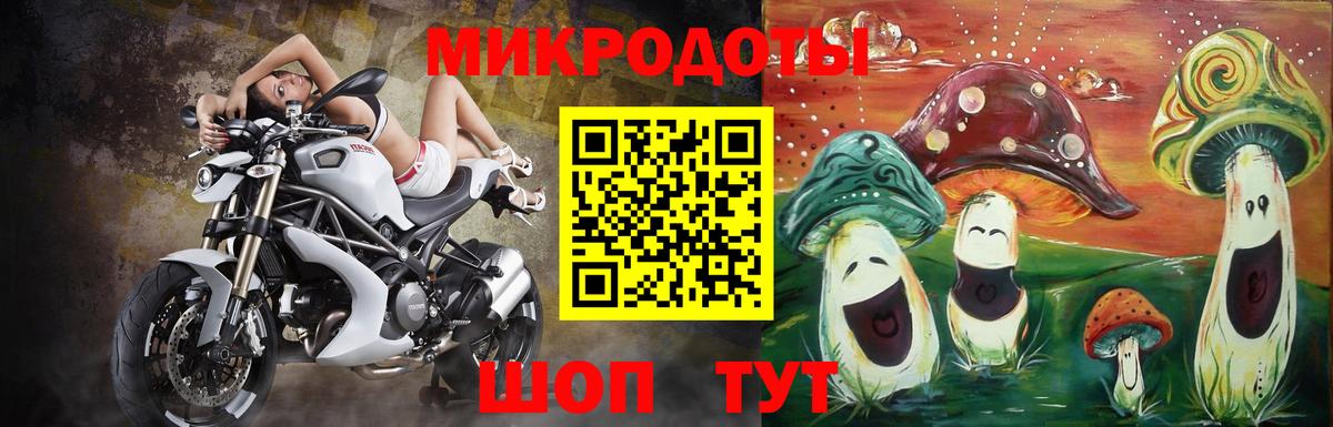 где купить наркотик  Галлюциногенные грибы GOLDEN TEACHER  Галлюциногенные грибы мухоморы  Вход с VPN  Новокузнецк 